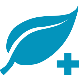 leed certification points